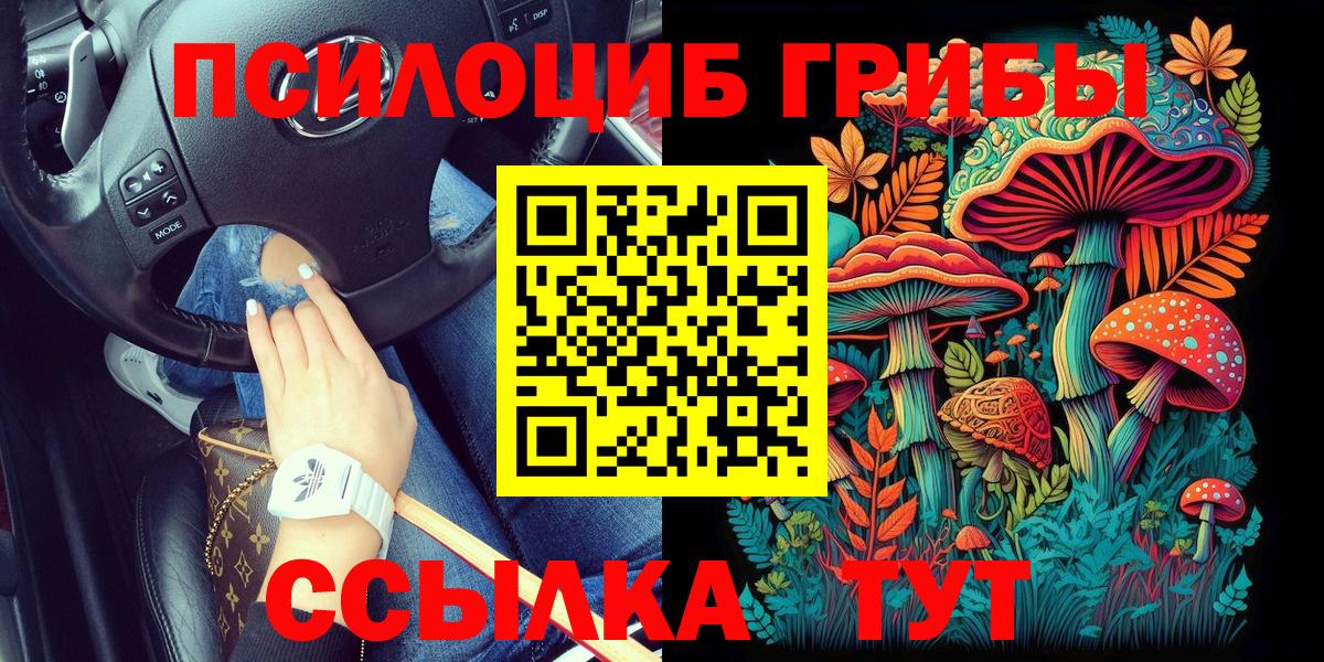 Псилоцибиновые грибы мицелий  Галлюциногенные грибы мицелий  Вход с VPN  Заринск 